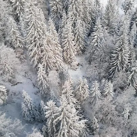 Montepart Zillertal * Hainzenberg