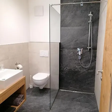 Montepart Zillertal Διαμέρισμα Hainzenberg