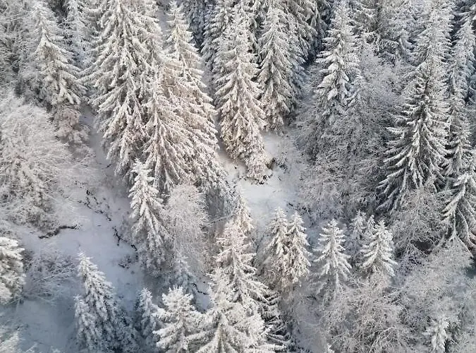 Montepart Zillertal * هينزنبرغ