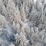 Montepart Zillertal * Hainzenberg